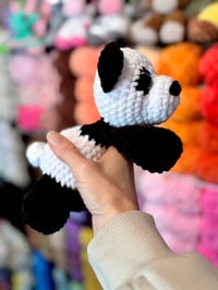 Image 2 of Peter The Panda