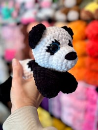 Image 3 of Peter The Panda