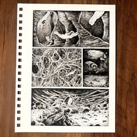 Haleigh Couch Surfer: Open Exercise PAGE 13