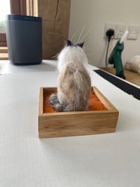 Image 2 of Commission Sample Bella