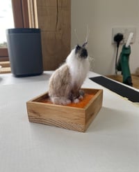 Image 3 of Commission Sample Bella