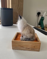 Image 4 of Commission Sample Bella