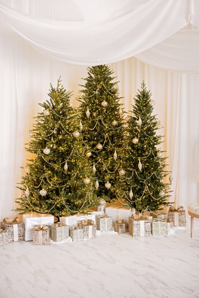 Image of Lumina Luxe Mini 11/02