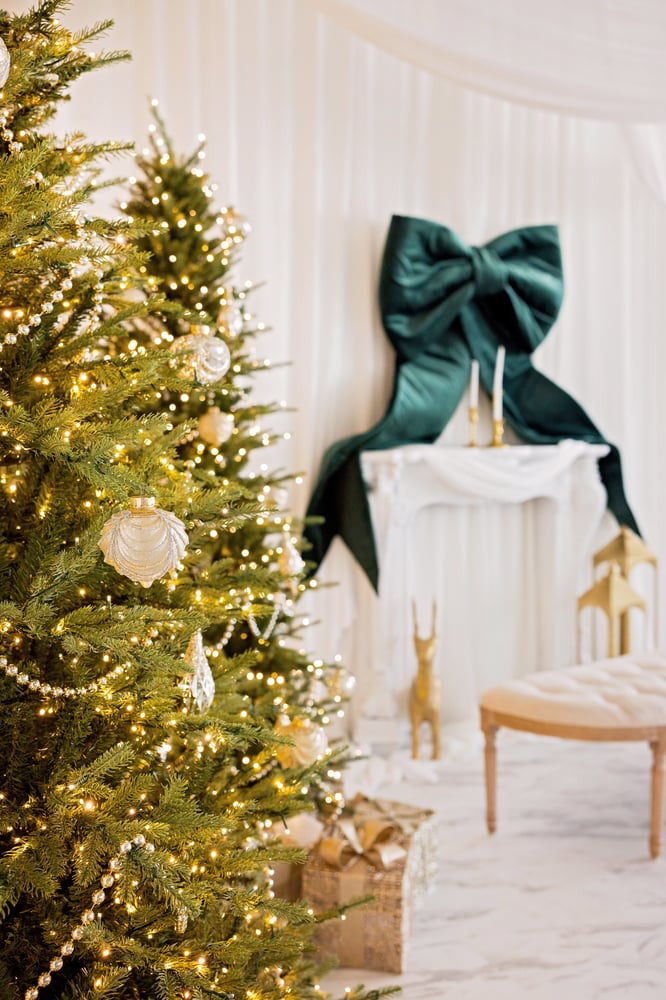 Image of Lumina Luxe Mini 11/02