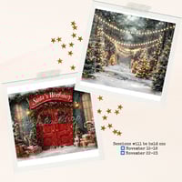 Christmas Mini Sessions  - 15th of November 