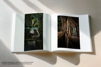 Image 4 of Livre "Hommage photographique" - François Benveniste