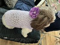 Image 2 of Dog Sweater-Small