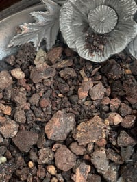 Image 4 of Lunar Anointing Oil (Jasmine, Neroli, Sandalwood, Mugwort)