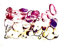 Image 1 of Abstract Swallow