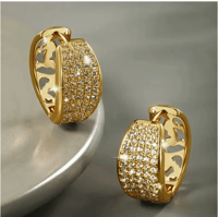 1 Pair Women'S Fashion Hoop Earrings with Dense Shiny 