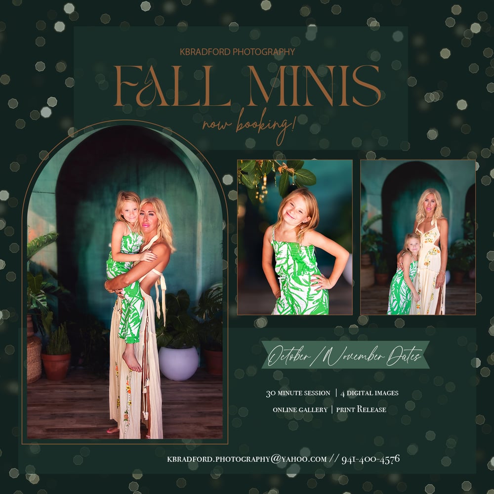 Image of Holiday Minis November 1