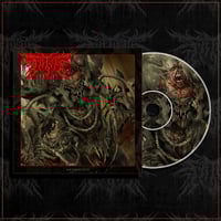 ANOMALOUS - LP (2025)