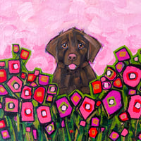 "Chocolate Pink"