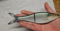 9" Silky Shad - Green Gizzard
