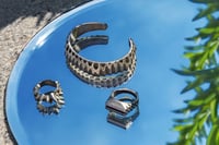 Image 2 of Slice Ring