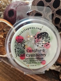 Image 4 of Conifer & Cranberry- a Rockytop Wax Works exclusive custom houseblend fragrance 