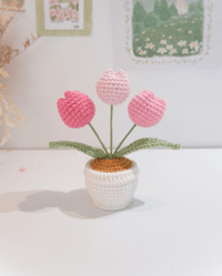 Image 1 of Pink Chubby Tulips Pot