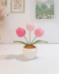 Image 2 of Pink Chubby Tulips Pot