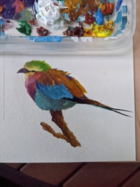 Image 2 of Lilac-Breasted Roller