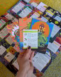 Image 3 of Frog Oracle Mystery 3 Card Spread