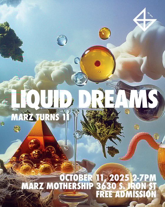 Image of the Liquid Dreams VIP Package