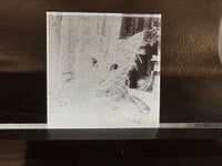 Image 2 of Acrylic Engravings