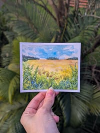 Wild Meadow