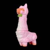 Image of Paca "Pink Fields" Colorway