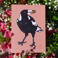 Image 3 of Money Birds prints