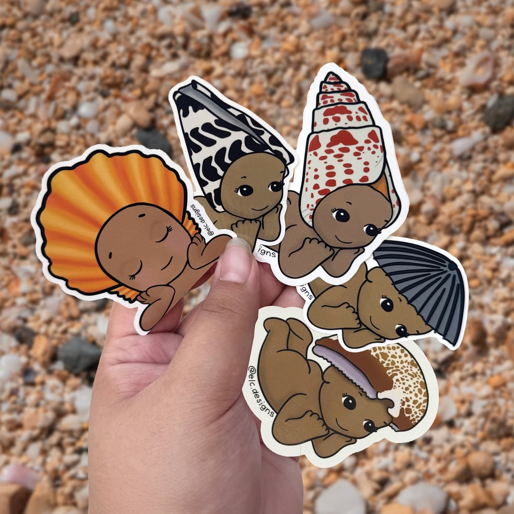 Image of Pāpale Pēpē Hawaiʻi Shell Sticker