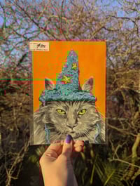 Wizard Cat Fine Art Print