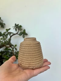 HONEY VASE
