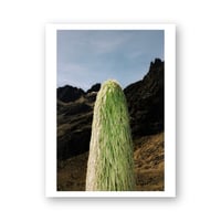 Federico Ravassard 2