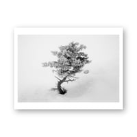 Federico Ravassard 3