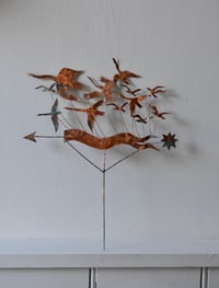 Image 1 of Flocks of birds 1