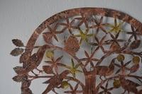 Image 2 of Birds & insects tree of life