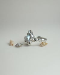 Image 2 of comma ring