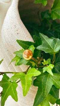 Image 1 of Tidekeeper Ring
