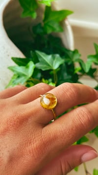 Image 2 of Tidekeeper Ring