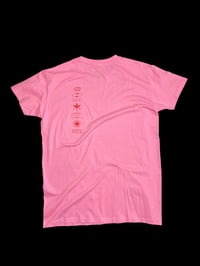 Image 2 of five ball club rose