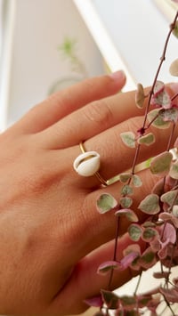 Image 1 of Cowrie Ring