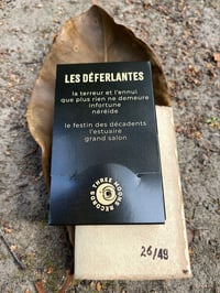 Image 5 of NAUFRAAGE "LES DÉFERLANTES"