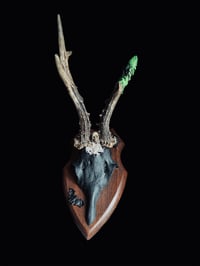 Image 2 of Gehörn "Slytherin bats"