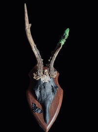 Image 4 of Gehörn "Slytherin bats"