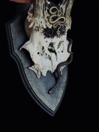 Image 3 of Gehörn "Black swamp"