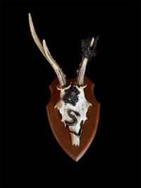 Image 2 of Gehörn "Love the unloved"