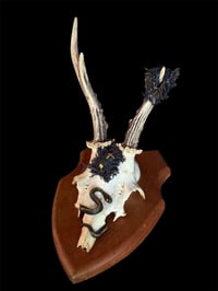 Image 1 of Gehörn "Love the unloved"