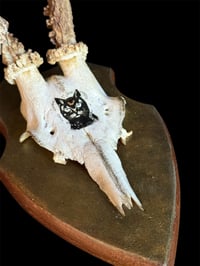 Image 2 of Gehörn "Golden cat"