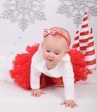 Image 11 of Tinsel tutus