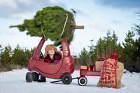 Winter Outdoor Mini Session